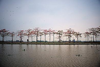 《莱莎的炼金工房3》新情报 中文版截图欣赏